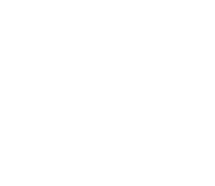 Logo SELIN